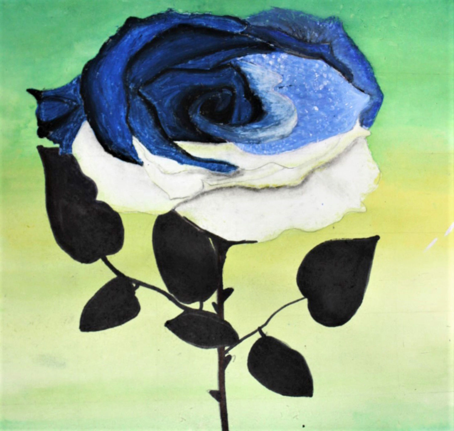 Roses are blue